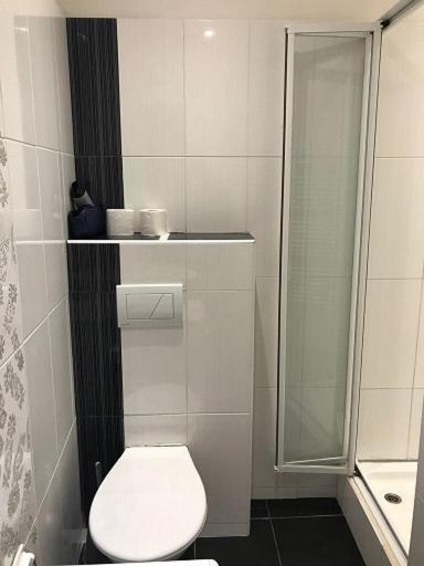 Stara Louka Apartments Karlovy Vary Ngoại thất bức ảnh